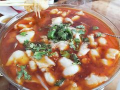 水煮活鱼-新阳光大酒店