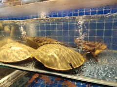 -健眺小海鲜(临海后山店)