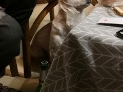 -哈尔滨北方国际青年旅舍(中央大街店)