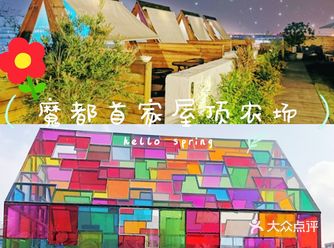 春日遛娃——魔都首家屋顶农场