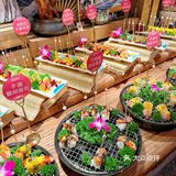 第一次在见到如此火热的自助餐。。。