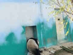 -栾川竹海野生动物园