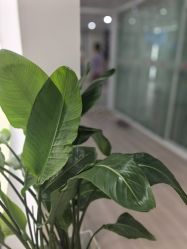 -爱尔乐美孕产瑜伽·普拉提