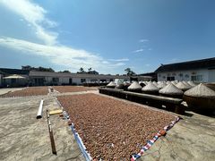 -苏州市吴中区光福窑上花果蜜饯厂