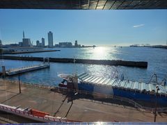 -大阪海游馆