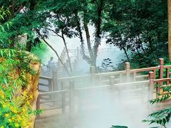 -北京西山国家森林公园