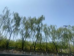 -皇家御河游(紫御湾码头)