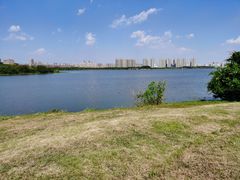 -盘龙城国家考古遗址公园