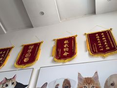 -爱侣宠医·鹦鹉专科·小型哺乳类·异宠专科(灵石路店)