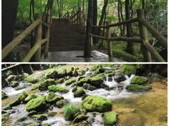 -牛背梁国家森林公园