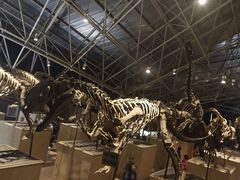 -世界恐龙谷景区