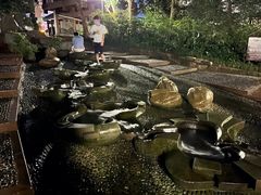-成都市活水公园