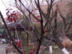 -瀛洲公园