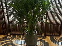 -益健·足疗汗蒸SPA(芙蓉广场店)