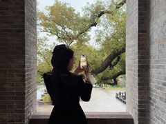 -江心屿景区