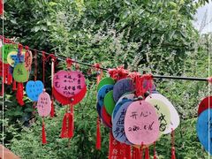 -野三坡刘家河高山漂流