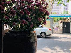 -Apollo·西班牙小酒馆(安福路店)