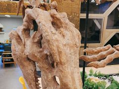-FAIRYLAND龙族星球主题餐厅(凯丹广场店)