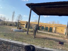 -哈尔滨北方森林动物园