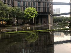 -网易（杭州）网络有限公司