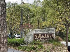 -东明山森林公园