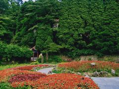 -庐山风景区花径公园