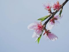 -花溪风景区