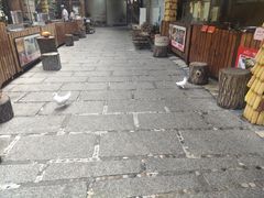 门面-大鹅岛绿色生态美食园