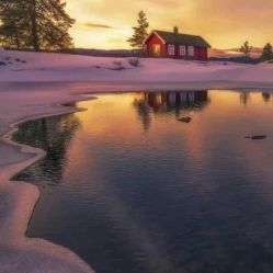 -薇兰专业脱毛连锁机构