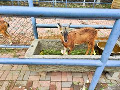 -长白岛森林公园