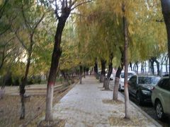 -哈尔滨师范大学(江南校区)