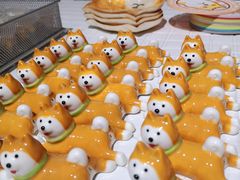 -柴务处·柴犬主题狗咖