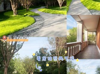 东方和府‖看房拍照两不误
