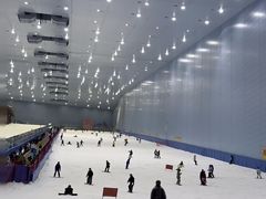 -广州热雪奇迹