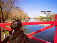 -上海市第一人民医院(松江南部)