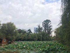 -月牙潭公园