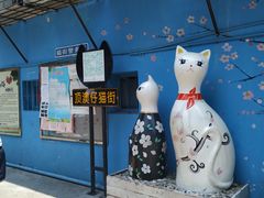 -猫咪博物馆(顶澳仔猫街店)