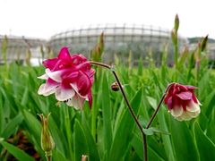 -国家植物园