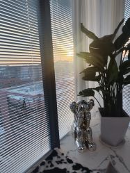 -Sying杉影日式烫染專門店