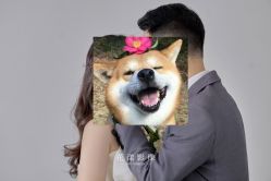 -花漾摄影优选工作室(东莞原创作品店)