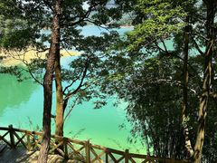 -广州市流溪河国家森林公园