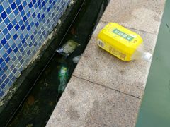 -明月山天沐温泉度假村