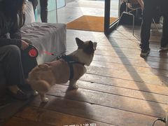 -The Rug Cafe(王府中环店)