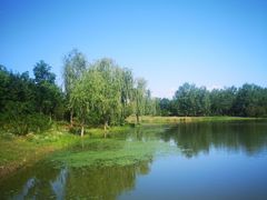 -东郊湿地公园