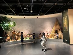 -广东中医药博物馆