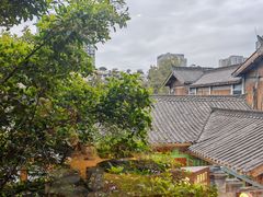 -小龙翻大江文化火锅(宽窄店)