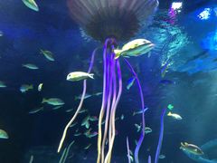 -沈阳海洋探索中心