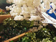 -付掌柜在成都·热炒砂锅集(金禾店)
