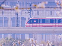 -羊山湖公园
