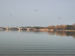 -长广溪湿地公园